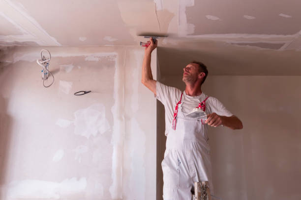 Best Trim and Molding Painting  in Burnsville, MN